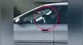 Policías salvan a perro que pasó más de una hora conduciendo el auto de su dueño [VIDEO]