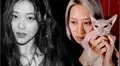 Heechul de Super Junior confirmó que cuida al gato de Sulli