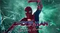 ¿Dónde ver las películas de Spider-Man y cuáles están en cada plataforma de streaming?
