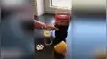 Mezcla Coca Cola con Mentos al interior de vaso con limón y resultado es increíble [VIDEO] 