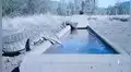 Cámara oculta instalada en granja captó la peculiar conducta de unos animales al ver un bebedero [VIDEO] 