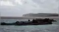 Hallan varado un submarino de guerra de hace 100 años en las costas de Francia [VIDEO]