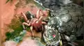 YouTube viral: tortuga se topa con misteriosa criatura y tiene feroz batalla que termina de forma trágica [VIDEO]