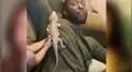 Niño adopta un reptil como mascota, se lo presenta a su padre y él tiene divertida reacción [VIDEO]