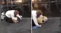 Joven se quita la ropa y se la coloca a un perro callejero que tenía frío [VIDEO]