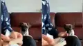 YouTube Viral: perro ayuda a su dueño a contar el dinero por una increíble razón [VIDEO]