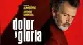 Oscar 2020: Dolor y gloria, la propuesta de Almodóvar para los Premios de la Academia  