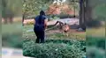 Mujer ingresa a exhibición de leones, se acerca a uno de los depredadores y este la sorprende con insólita reacción [VIDEO]