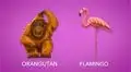 WhatsApp: estos son los 230 emojis que llegarán pronto a la aplicación [VIDEO]