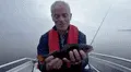 Usuarios aterrados tras ver aspecto de misteriosa criatura pescada en lago de Chernobyl [VIDEO] 