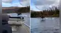 Alce salvaje asombra a turistas cuando navegaban por un río y corre frente a ellos [VIDEO]