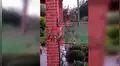 Pensó toparse con panal de abejas asesinas, se acerca y descubre un insólito espectáculo [VIDEO]