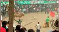 YouTube Viral: Perro pelea con toro para defender a su dueño [VIDEO]