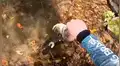 YouTube viral: pescador mete la mano dentro de río, sin imaginar que ‘criatura’ emergería del agua [VIDEO]