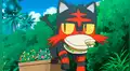 Pokémon Espada y Escudo: nueva lista con más de 30 pokémon entre iniciales y legendarios es filtrada [FOTOS]