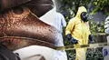 Peste negra: ¿cómo se contagia, cuáles son los síntomas y el tratamiento de esta enfermedad?
