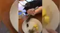 Gato hace de todo para robarle la comida a su dueña y ella se lo impide [VIDEO]