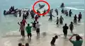 Decenas de turistas rescatan de forma increíble a una ballena varada en Brasil [VIDEO]