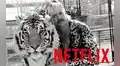 Tiger King: la nueva docu-serie de Netflix que está dominando la plataforma [VIDEO]