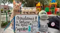 Joven vende cupcakes en la calle para pagar una operación de su gato y que no quede ciego [VIDEO]