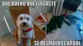 Facebook viral: mira los mejores memes por Navidad que te harán 'morir' de la risa [FOTOS]
