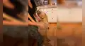 Perrita conmueve tras ser liberada del poste donde la habían abandonado [VIDEO] 