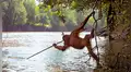 Captan a orangután salvaje pescando con una lanza en Indonesia