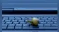 ¿Qué hacer cuando la laptop se pone muy lenta?