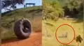 Facebook: joven hizo reto extremo en una llanta y casi pierde la vida [VIDEO]