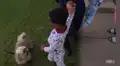 Perro callejero protege a niño perdido hasta que se reencuentre con sus padres [FOTOS]