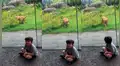 Niño se aproxima al hogar de feroz leona y esta intenta atacarlo [VIDEO]