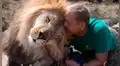 Cuidador de leones pone su brazo en dientes de uno de estos felinos y ocurre algo impensado [VIDEO]