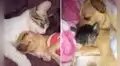 Joven busca a su perro y lo encuentra en tierna escena junto a su gato