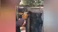 Halla caja fuerte abandonada, la abre y descubre increíble ‘tesoro’ que lo hace millonario [VIDEO]