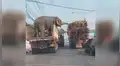 Elefantes son llevados en camión y se comen caña de azúcar de vehículo que pasaba cerca [VIDEO]