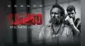 Django, en el nombre del hijo: película  es el estreno más visto en la taquilla nacional 