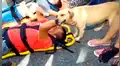 Perro conmueve al no querer abandonar a su dueño, quien sufrió un trágico accidente [VIDEO] 