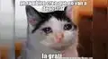 Llegó la gratificación por Navidad y las redes sociales explotaron con estos divertidos memes [FOTOS]
