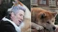 ‘Siempre a tu lado, Hachiko’: la película basada en el perro más fiel de la historia