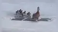 Patitos caen en una alcantarilla y un hombre los rescata para que se reúnan con su madre [VIDEO]