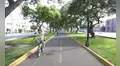 Árboles para enfriar las ciudades