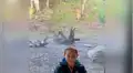 Feroz tigre ve a niño cerca de su jaula y se abalanza para devorarlo [VIDEO]
