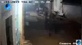Instalan cámara de seguridad y captan el feroz ataque de leonas cazadoras en un pueblo [VIDEO]