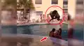 Facebook viral: intenta realizar pirueta en piscina, pero termina haciendo el ridículo [VIDEO]