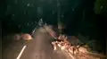 Joven manera por carretera deshabitada y encuentra impensadas criaturas [VIDEO]