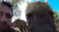 Turista saca su celular para capturar un ‘selfie’ con las hienas y estas reaccionan efusivamente [VIDEO]