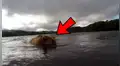 Facebook viral: pescador se topa con un oso y capta el impactante momento en que este atrapa a su presa [VIDEO]