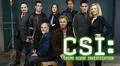CSI: CBS quiere revivir la mítica serie y convoca al elenco original [VIDEO]
