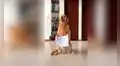 Perro se vuelve viral en TikTok tras protagonizar una divertida parodia con el tema ‘Me miró y la miré’ [VIDEO]
