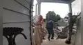 Trabajador se aterroriza cuando se mueve la decoración de Halloween y sale corriendo